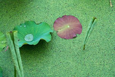 《冥舞之约》Steam试玩发布 节奏迷宫探索